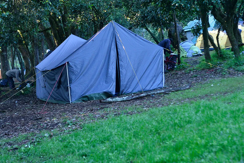 Big Tree (Mti Mkibwa) Campsite Kilimanjaro