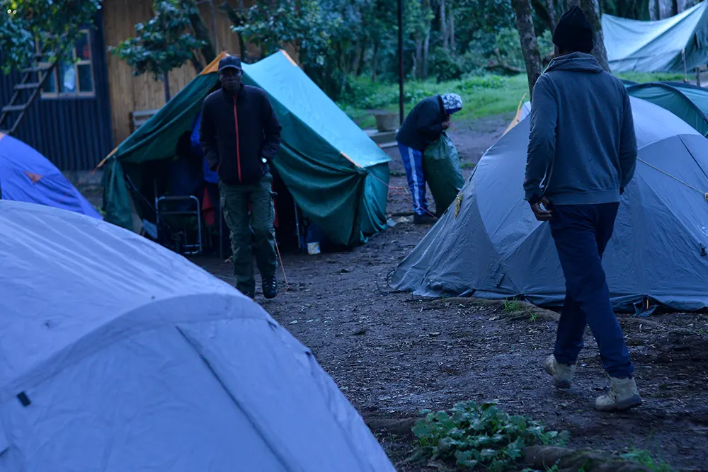 Big Tree (Mti Mkibwa) Campsite Kilimanjaro