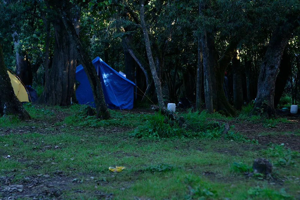 Big Tree (Mti Mkibwa) Campsite Kilimanjaro