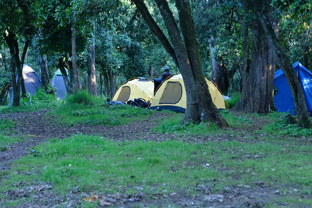 Big Tree (Mti Mkibwa) Campsite Kilimanjaro