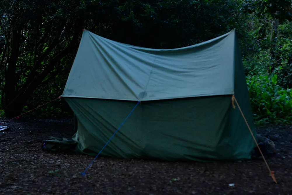 Big Tree (Mti Mkibwa) Campsite Kilimanjaro