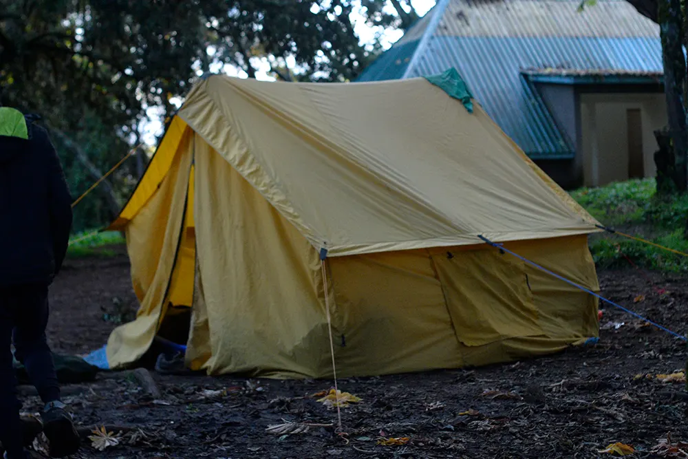 Big Tree (Mti Mkibwa) Campsite Kilimanjaro