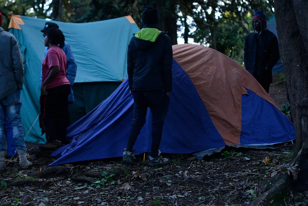 Big Tree (Mti Mkibwa) Campsite Kilimanjaro