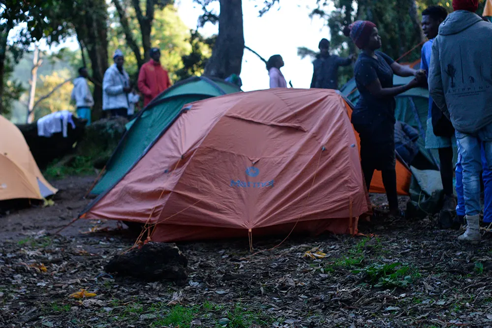Big Tree (Mti Mkibwa) Campsite Kilimanjaro