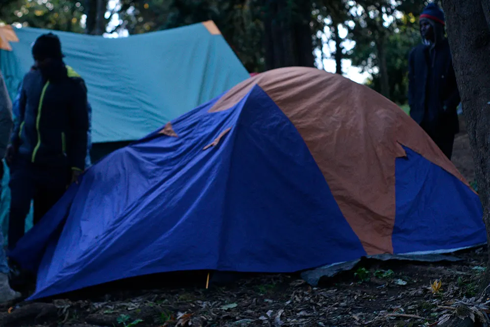 Big Tree (Mti Mkibwa) Campsite Kilimanjaro