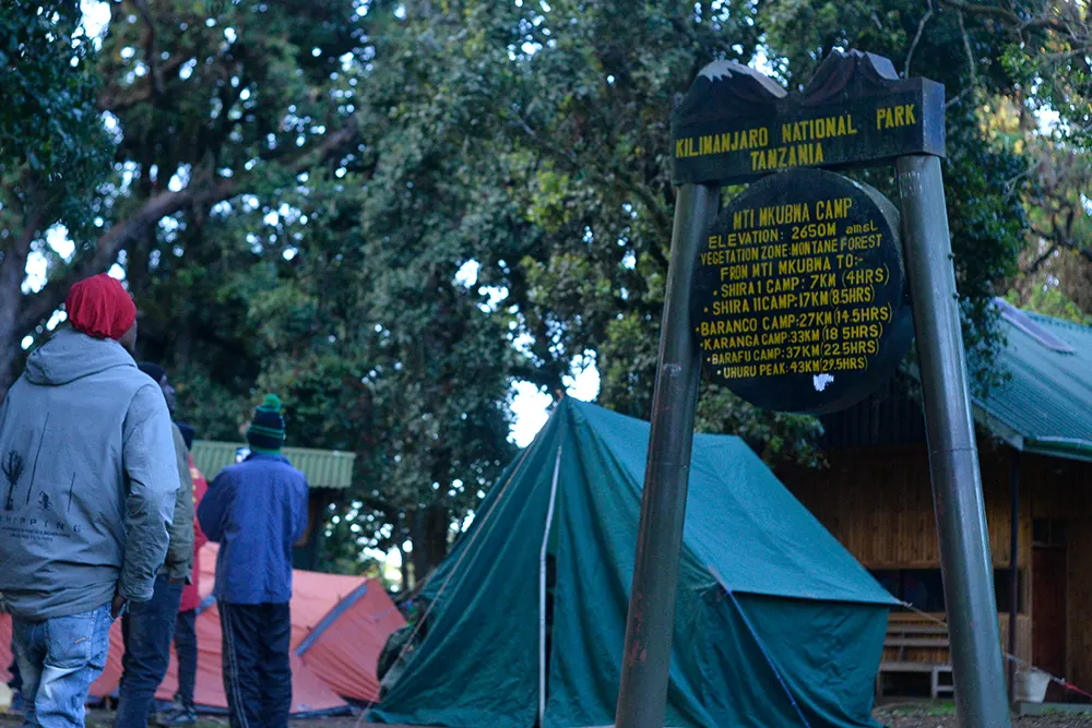 Big Tree (Mti Mkibwa) Campsite Kilimanjaro