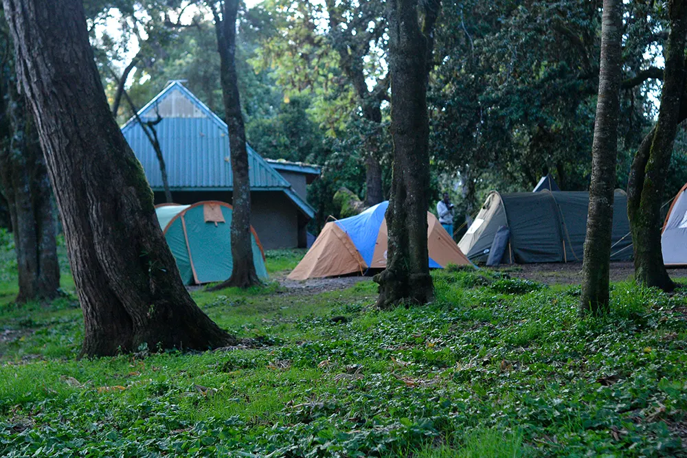 Big Tree (Mti Mkibwa) Campsite Kilimanjaro