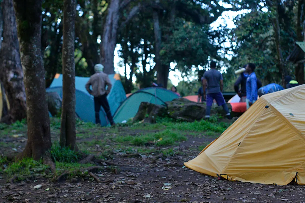 Big Tree (Mti Mkibwa) Campsite Kilimanjaro