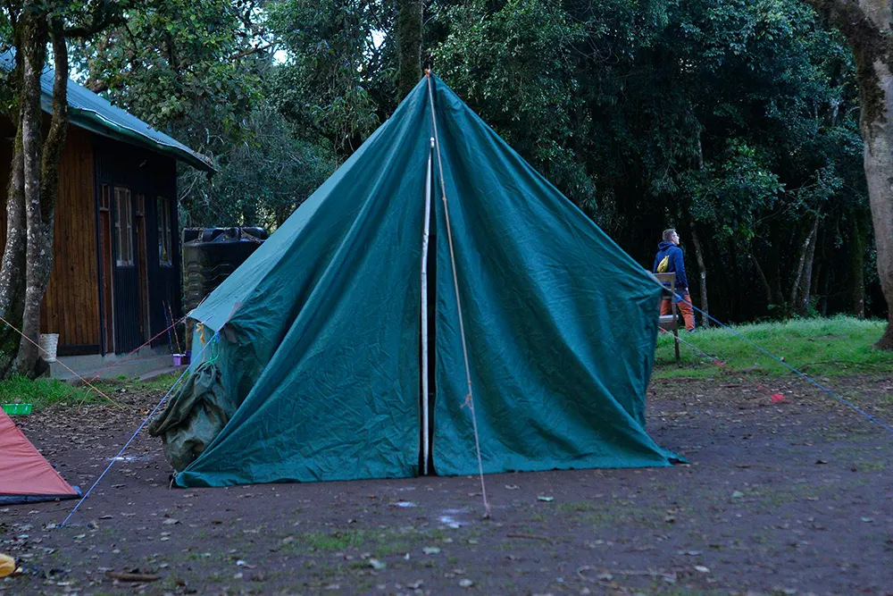 Big Tree (Mti Mkibwa) Campsite Kilimanjaro