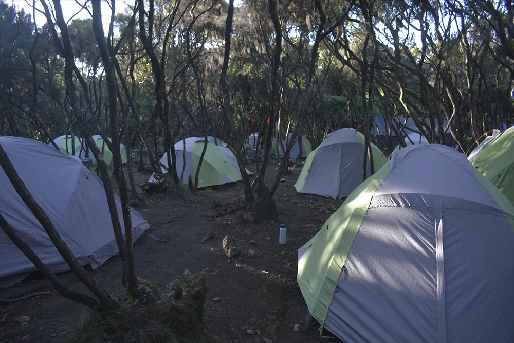Mweka Campsite