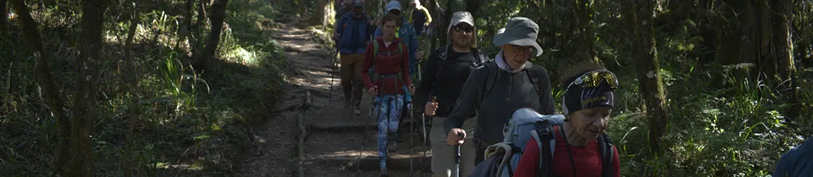 Kilimanjaro Machame Route, Lemosho Route, Umbwe Route, Northern circuit route