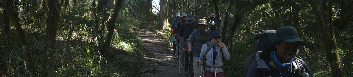 Kilimanjaro Machame Route, Lemosho Route, Umbwe Route, Northern circuit route