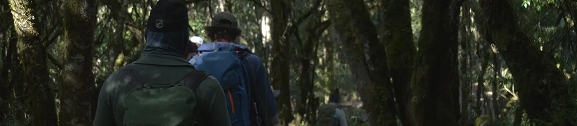 Kilimanjaro Machame Route, Lemosho Route, Umbwe Route, Northern circuit route