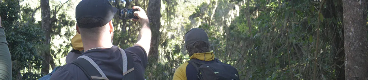 Kilimanjaro Machame Route, Lemosho Route, Umbwe Route, Northern circuit route