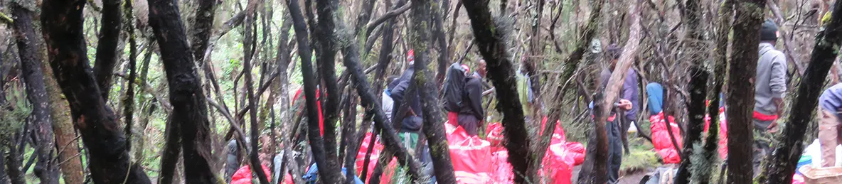 Kilimanjaro Machame Route, Lemosho Route, Umbwe Route, Northern circuit route