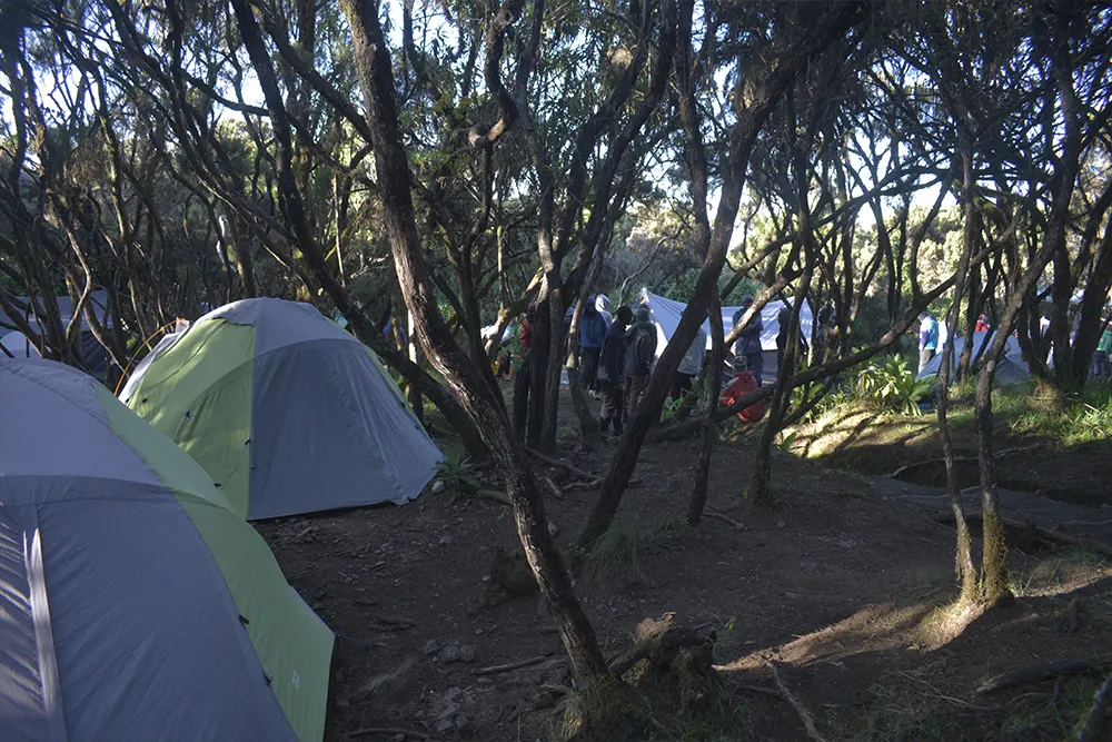 Mweka Campsite Kilimanjaro