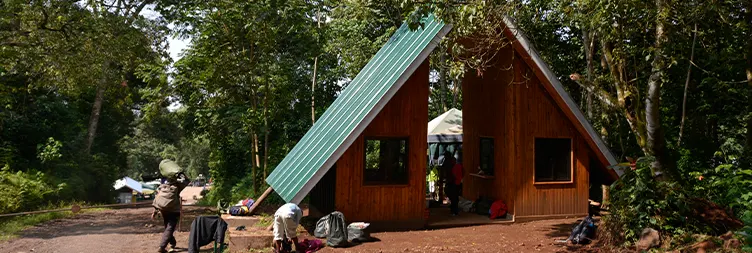 Mweka Camp To Mweka Gate