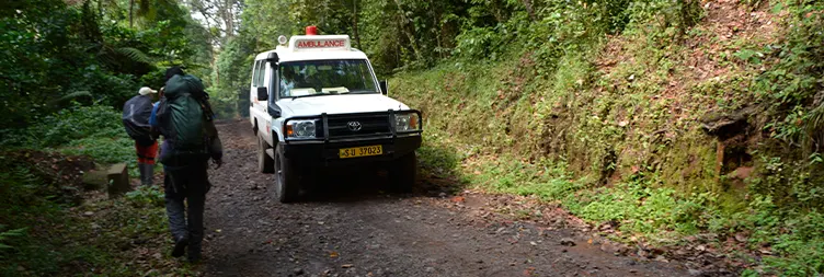 : Mweka Camp â€“ Mweka Gate â€“ Moshi 