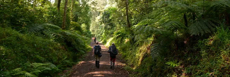 Mweka Camp To Mweka Gate
