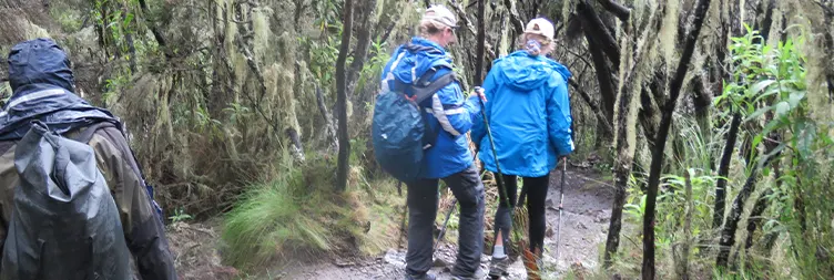 School Hut Uhuru Peak Mweka Camp 