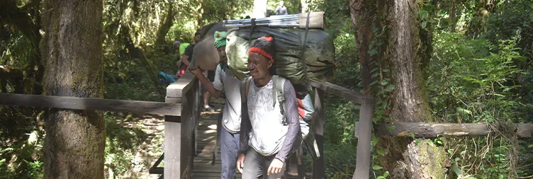 Mweka Camp to Mweka Gate, and back to Moshi
