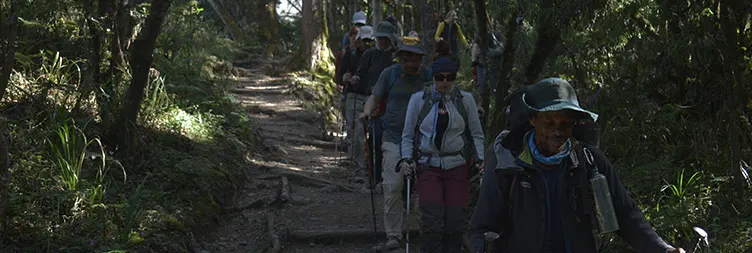 Mweka Camp â€“ Mweka Gate â€“ Back to Moshi/Arusha 