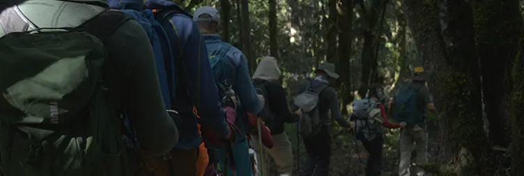 Mweka Camp â€“ Mweka Gate â€“ Moshi