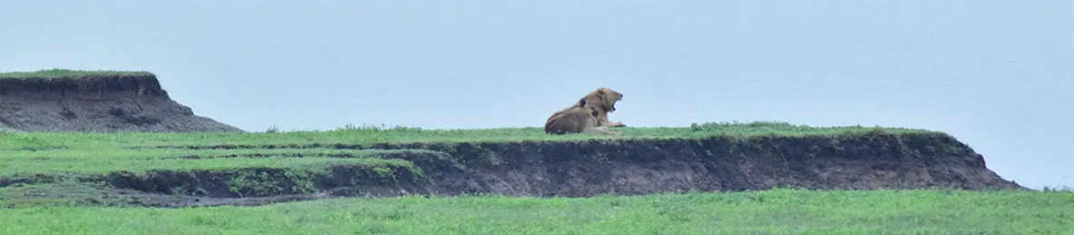 Ngorongoro National Park - Crater