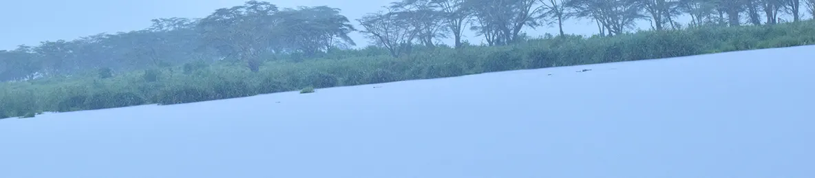 Ngorongoro National Park - Crater