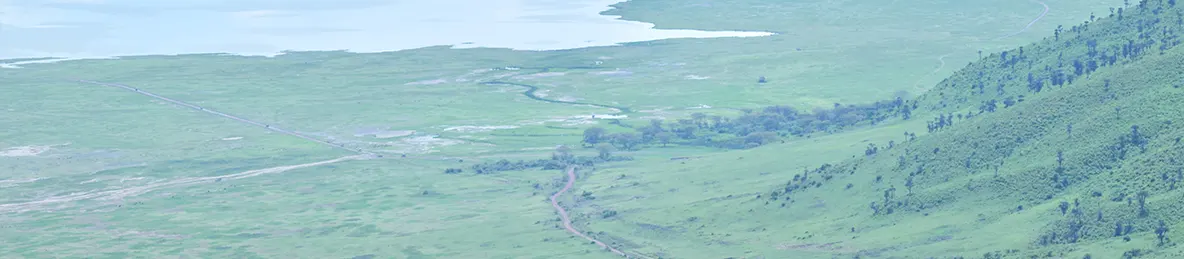Ngorongoro National Park - Crater