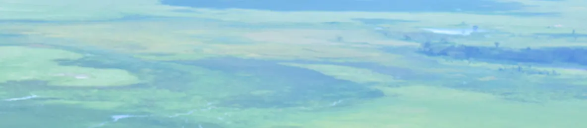 Ngorongoro National Park - Crater