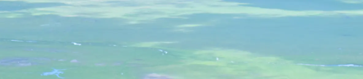 Ngorongoro National Park - Crater