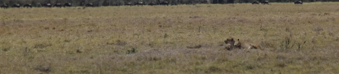 Ngorongoro National Park - Crater