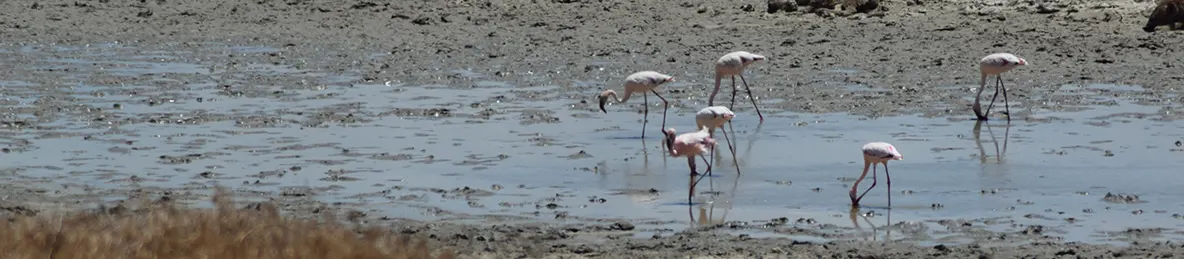 Ngorongoro National Park - Crater