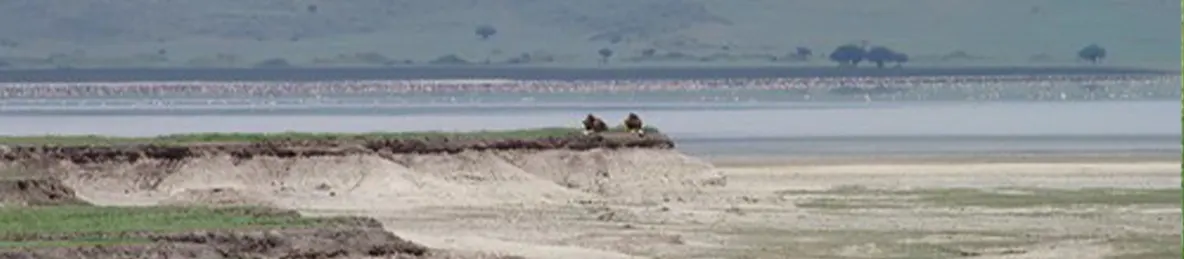 Ngorongoro National Park - Crater