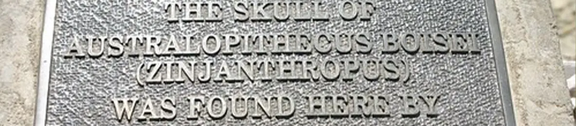 Ngorongoro National Park - Crater