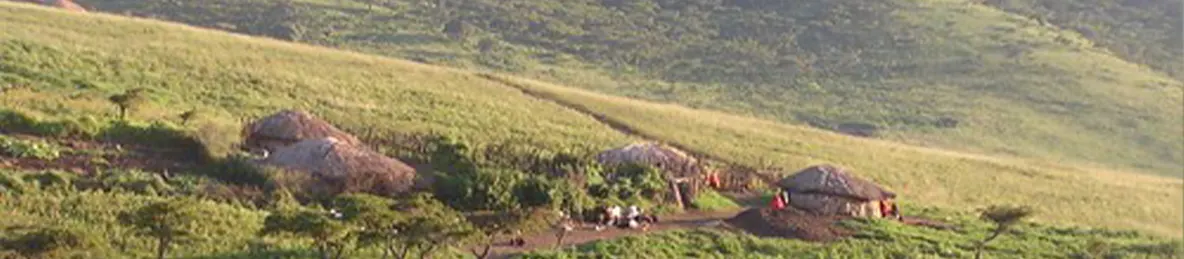 Ngorongoro National Park - Crater