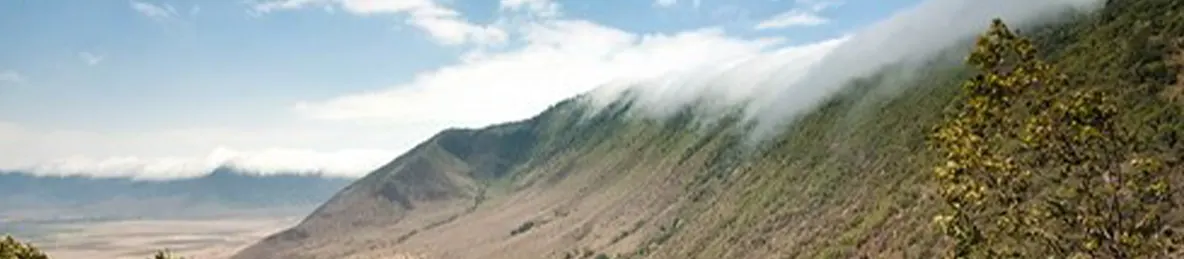 Ngorongoro Crater