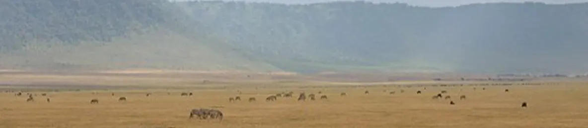 Ngorongoro Crater