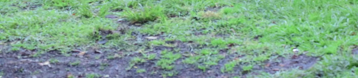 Ngorongoro National Park - Crater
