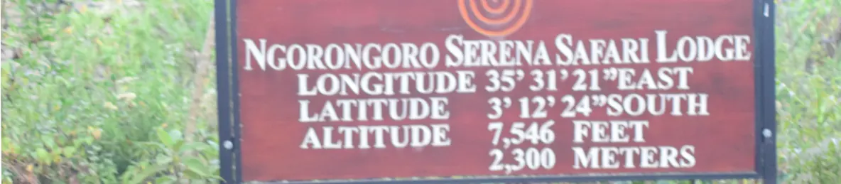 Ngorongoro National Park - Crater