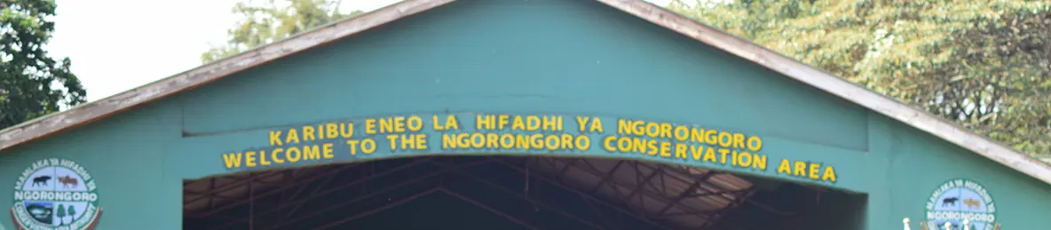 Ngorongoro National Park - Crater