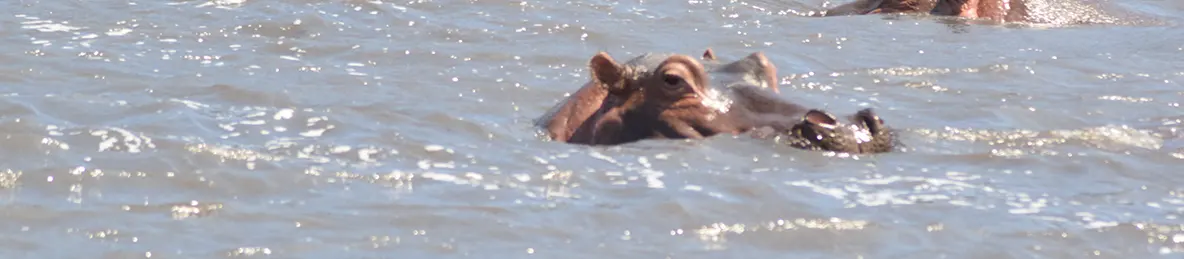 Ngorongoro National Park - Crater