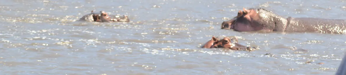 Ngorongoro National Park - Crater