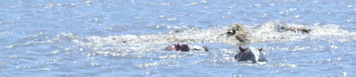 Ngorongoro National Park - Crater