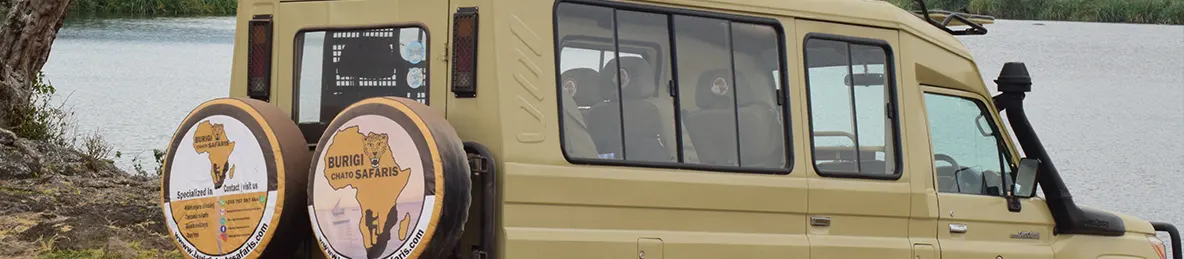 Ngorongoro National Park - Crater