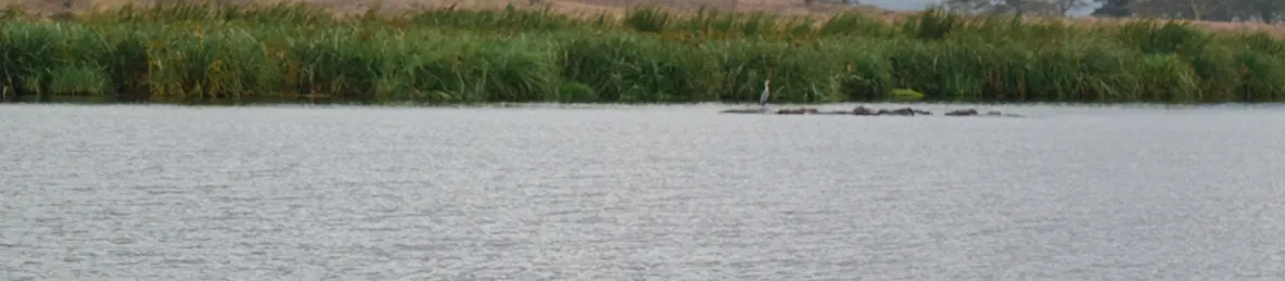 Ngorongoro National Park - Crater