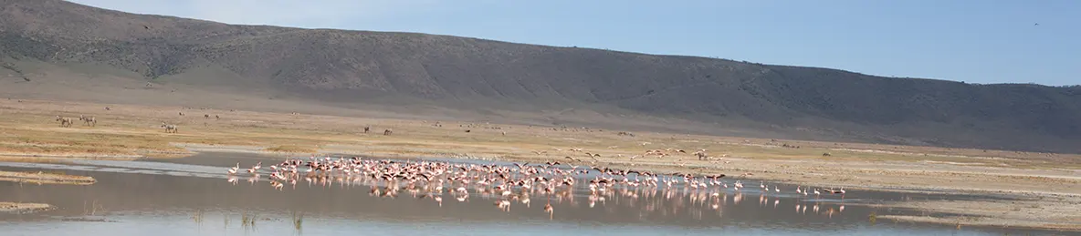Ngorongoro National Park - Crater