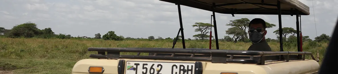 Ngorongoro National Park - Crater