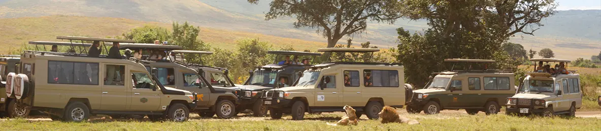 Ngorongoro Crater